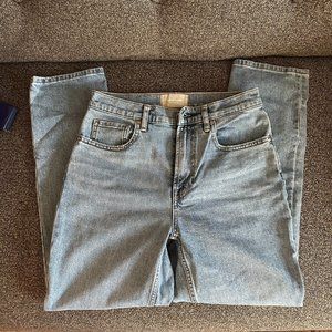 Everlane Cheeky Jeans